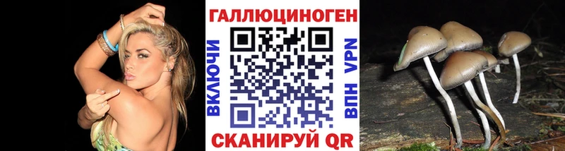 Купить закладки  Ясный  Галлюциногенные грибы Psilocybe 