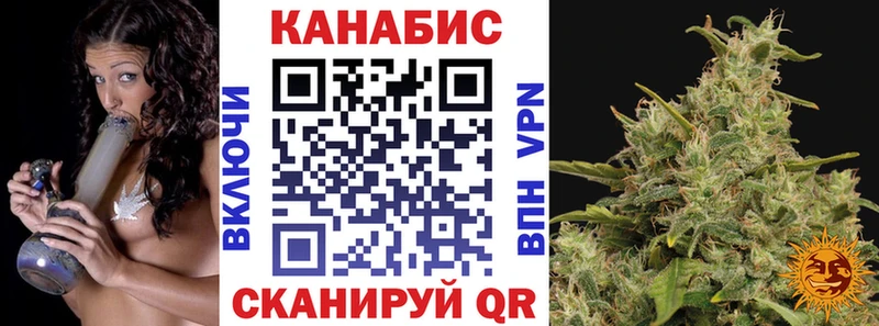 Марихуана сатива  Купить  Ясный 